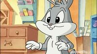 Baby Looney Tunes Revfnt8v3avr_t