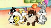 Baby Looney Tunes Xmaojbqzup5u_t