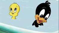 Baby Looney Tunes Yz2o7d5qoxa7_t